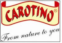 Carotino (INDIA) Private Limited (formerly Synergy)